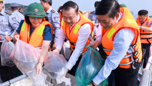 Các đại biểu thả con giống tái tạo nguồn lợi thủy sản năm 2026 tại vùng biển Cát Bà.