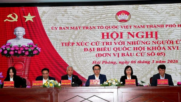 Người ứng cử đại biểu Quốc hội khóa XVI tiếp xúc cử tri, vận động bầu cử tại đơn vị bầu cử số 5, thành phố Hải Phòng.