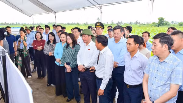 Phó Chủ tịch Quốc hội Nguyễn Hồng Diên và Đoàn công tác khảo sát thực địa dự án đầu tư xây dựng tuyến đường sắt Lào Cai-Hà Nội-Hải Phòng. (Ảnh: ĐÀM THANH)