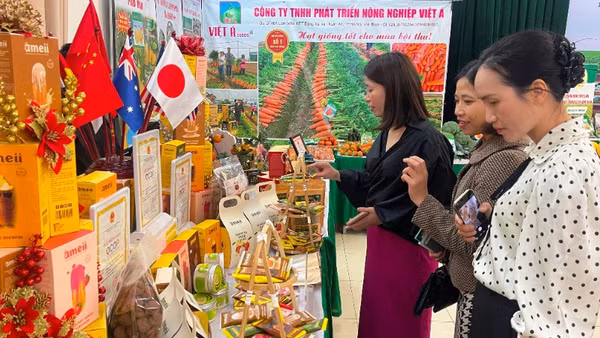 Thành phố Hải Phòng quan tâm hỗ trợ phụ nữ khởi nghiệp, góp phần phát triển kinh tế-xã hội thành phố trong kỷ nguyên mới. (Ảnh minh họa)