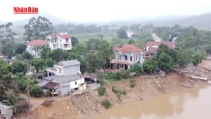 [Video] Yêu cầu xử lý khẩn cấp sự cố sạt lở bờ sông Lô