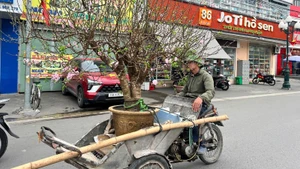 Với nhiều người lao động, Tết là dịp để họ có thể kiếm thêm thu nhập lo cho cuộc sống gia đình.