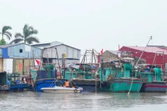 Tàu thuyền neo đậu tại cảng cá Ngọc Hải, phường Đồ Sơn. Nguồn: Cục Quản lý đê điều và Phòng, chống thiên tai - Bộ Nông nghiệp và Môi trường.