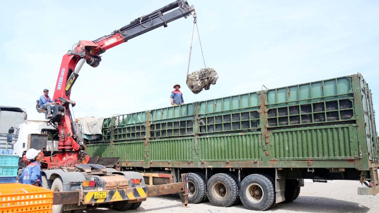 Chủ phương tiện buộc phải hạ tải khối lượng hàng hóa vi phạm. bs7a33651-3686.jpg