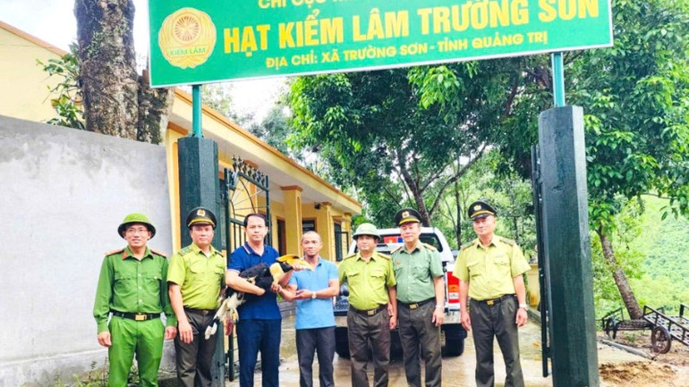 Công an xã và Hạt Kiểm lâm Trường Sơn bàn giao một cá thể chim hồng hoàng quý hiếm cho đơn vị chức năng để chăm sóc, cứu hộ trước khi thả trở lại rừng. z7126464444770-cb3c2e48c2d345e3fe14e2c0e79ceefe-8486.jpg