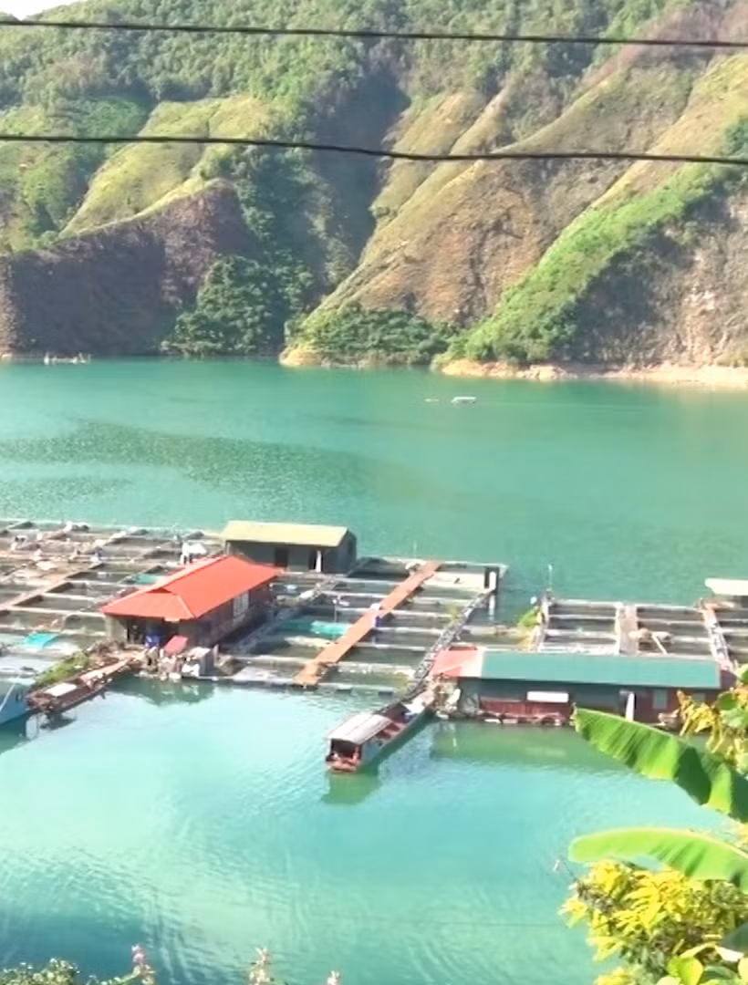 [Video] Mưa lũ gây nhiều khó khăn cho nghề nuôi cá lồng ở Sơn La