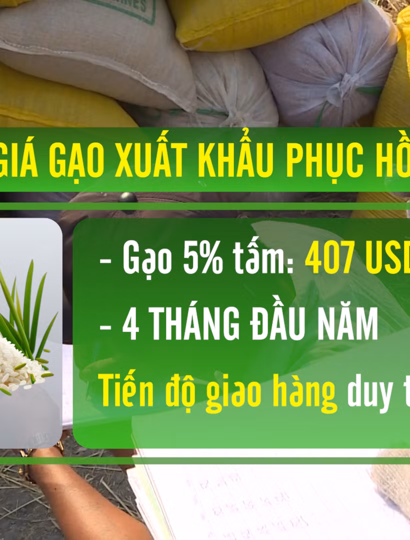 [Video] Giá gạo xuất khẩu phục hồi, rau quả hướng tới mục tiêu 10 tỷ USD