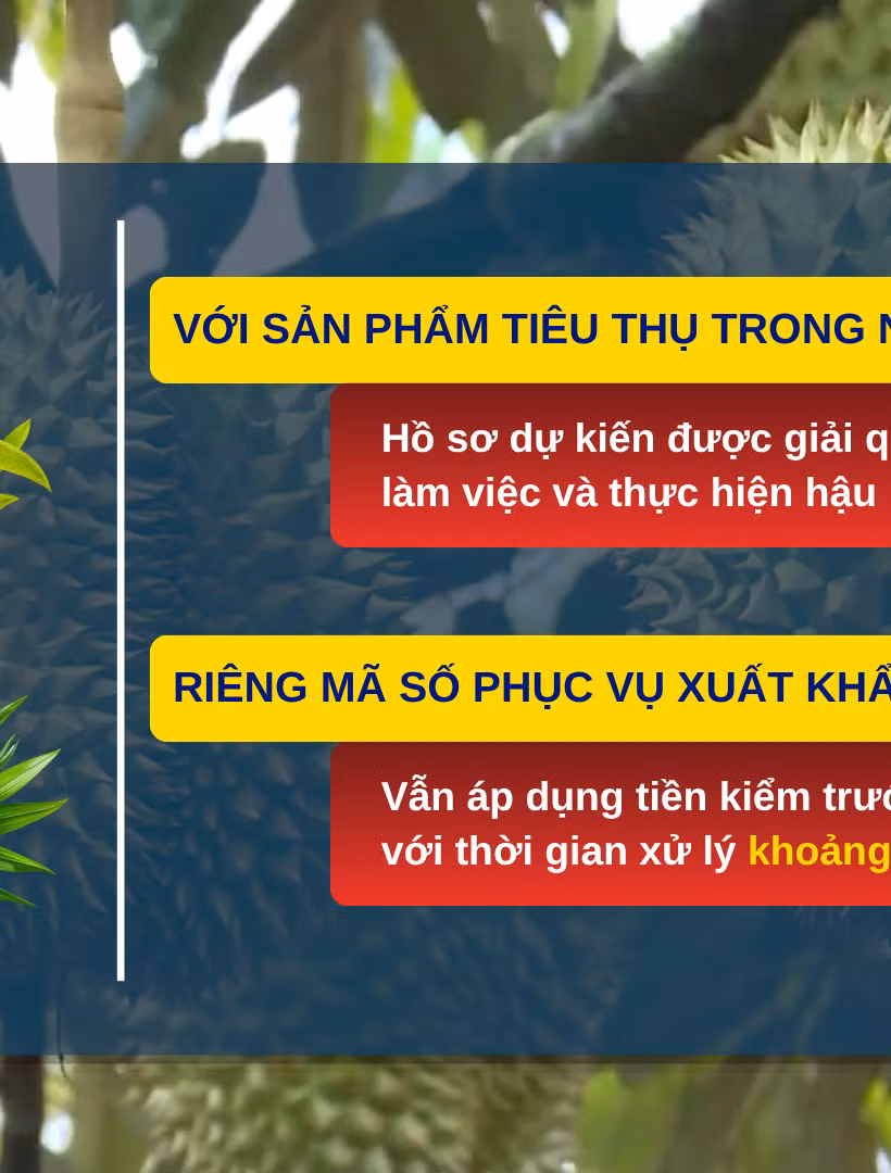 [Video] Tháo gỡ vướng mắc trong cấp mã số vùng trồng, cơ sở đóng gói