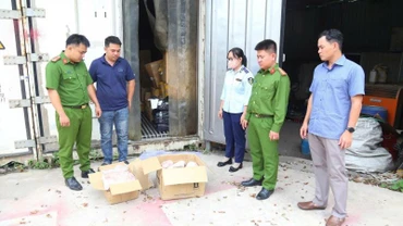 Thực phẩm động vật đông lạnh không có hóa đơn, chứng từ chứng minh nguồn gốc xuất xứ hợp pháp được phát hiện.