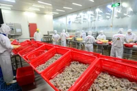 Nghiên cứu chọn tạo giống góp phần quan trọng vào tăng trưởng xuất khẩu thủy sản. 