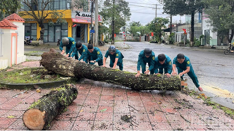 Lực lượng dân quân giải phóng hiện trường cây xanh bị gãy đổ. ndo_br_r.jpg