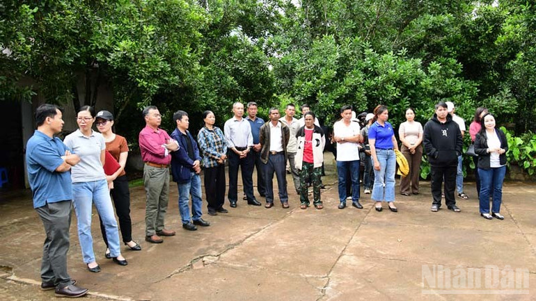 Các đại biểu tham quan mô hình sản xuất mắc-ca theo tiêu chuẩn VietGAP gắn với liên kết tiêu thụ sản phẩm của một hộ dân ở xã Tân Hà Lâm Hà, tỉnh Lâm Đồng. ndo_br_8.jpg