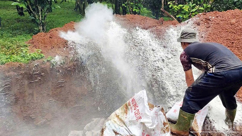 Quá trình tiêu hủy đàn lợn bị nhiễm bệnh thực hiện chặt chẽ và tuân thủ nghiêm ngặt các quy định phòng, chống dịch bệnh. ndo_br_a.jpg
