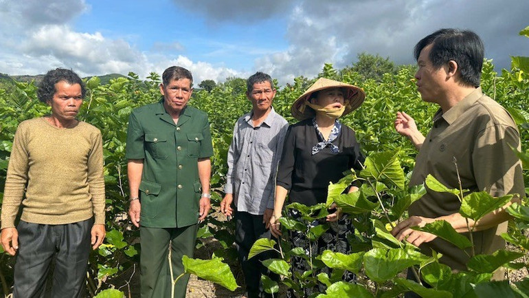 Xã Bờ Y ưu tiên phát triển kinh tế nâng cao mức sống nhân dân. by-3.jpg