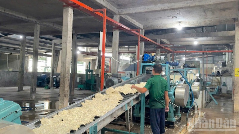 Sản xuất mủ cao su tại Công ty Cao su Sa Thầy. Công nghiệp chế biến cao su là một trong những thế mạnh của xã Ia Đal. ndo_br_ia-dal-3.jpg
