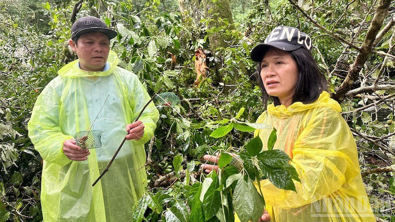 Phó Bí thư Tỉnh ủy, Chủ tịch Hội đồng nhân dân tỉnh Quảng Ngãi Nguyễn Đức Tuy kiểm tra thực tế. ndo_br_sam-hu-3.jpg
