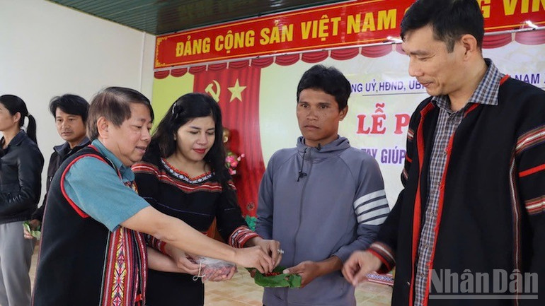 Hỗ trợ hạt giống sâm Ngọc Linh cho hộ nghèo, cận nghèo. ndo_br_mr2.jpg