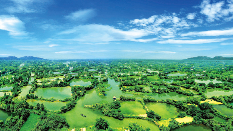 Công viên ngập nước Tây Khê ở thành phố Hàng Châu, tỉnh Chiết Giang, Trung Quốc. (Ảnh: Ban quản lý sáng tạo khoa học-công nghệ Hàng Châu) anh-02-tay-khe.jpg