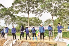 Cải tạo đường giao thông tại thôn Quýt, xã Yên Bài.