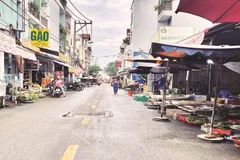 Hoạt động kinh doanh thực phẩm tại chợ tự phát trên đường số 11, phường Bình Hưng Hòa.