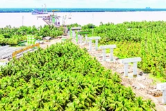 Công trình cầu Đại Ngãi 1 bắc qua sông Hậu nối tỉnh Vĩnh Long, thành phố Cần Thơ sau một năm thi công.