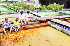 Du khách trải nghiệm tại cồn Sơn.