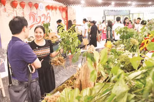 Người dân, du khách tham quan, mua sắm tại Lễ hội Sâm Ngọc Linh và Dược liệu quốc tế Đà Nẵng 2026.