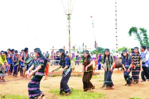 Ngày hội trên cao nguyên Di Linh.