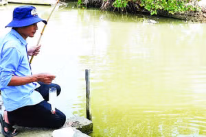 Thả chai nhựa xuống nước, người câu chỉ cần ngồi thong thả quan sát. Khi thấy dây cước căng hoặc chai rung bần bật là biết cá đã vào bẫy.