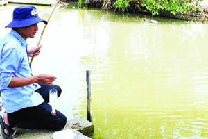 Thả chai nhựa xuống nước, người câu chỉ cần ngồi thong thả quan sát. Khi thấy dây cước căng hoặc chai rung bần bật là biết cá đã vào bẫy.