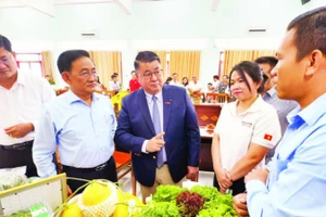 Lãnh đạo Tập đoàn Central Retail Việt Nam tham quan nông sản trưng bày của Công ty cổ phần nông nghiệp 620.