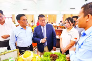 Lãnh đạo Tập đoàn Central Retail Việt Nam tham quan nông sản trưng bày của Công ty cổ phần nông nghiệp 620.