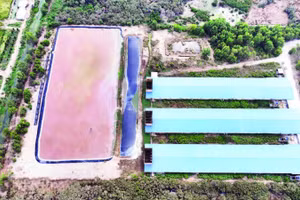 Trang trại nuôi heo gia công công nghiệp kín lạnh nhìn từ trên cao.