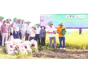Đại diện các địa phương tham gia đề án như: Tây Ninh, An Giang, Cà Mau, Cần Thơ và Đồng Tháp tham dự chương trình trình diễn.