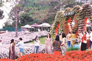 Du khách trải nghiệm xứ ngàn hoa Đà Lạt, tỉnh Lâm Đồng.