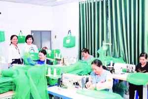 Sản xuất túi lưới yêu môi trường Echobag tại Công ty TNHH Echogreen.