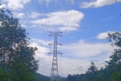 Hoàn thành công tác kéo dây qua vị trí cột VT15, gói thầu số 1. (Ảnh: EVN)