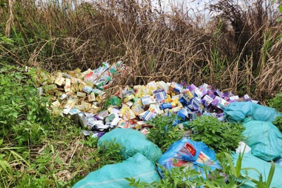 Hàng nghìn sản phẩm thực phẩm chức năng bị đổ bỏ.