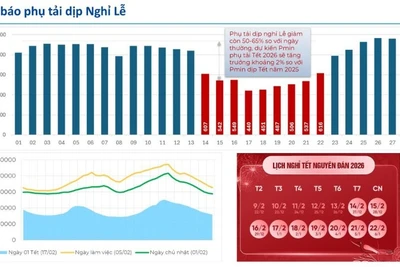 Dự báo tiêu thụ điện dịp Tết Nguyên đán. 