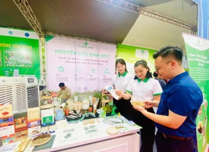 Cần có các chính sách và chương trình quốc gia về thúc đẩy khởi nghiệp xanh