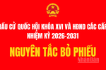 [Infographic] Nguyên tắc bỏ phiếu bầu đại biểu Quốc hội và Hội đồng nhân dân các cấp