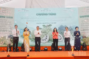 Các đại biểu thực hiện nghi thức khai mạc Chương trình.