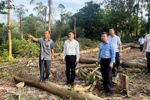 Bí thư Đảng ủy đặc khu Phú Quốc Lê Quốc Anh (thứ hai, từ trái qua) vận động nhân dân bàn giao đất để triển khai các công trình phục vụ APEC 2027. 