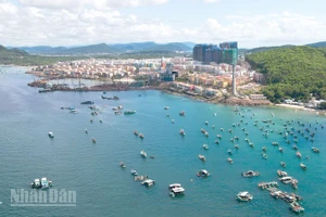 Một góc An Thới, đặc khu Phú Quốc.