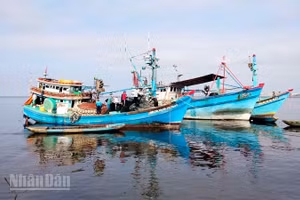 Tàu đánh bắt thủy sản ở An Giang.