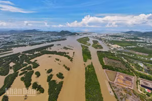 Khu vực đầm Đông Hồ, bị lấn chiếm trái phép mà Báo Nhân Dân nhiều lần phản ánh.