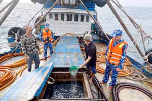 Bộ Tư lệnh Vùng Cảnh sát biển 4 bắt giữ tàu cá vận chuyển trái phép khoảng 100 nghìn lít dầu D.O trên biển ngày 16/1.