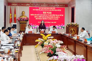 Phó Chủ tịch nước Võ Thị Ánh Xuân phát biểu tại buổi làm việc. 