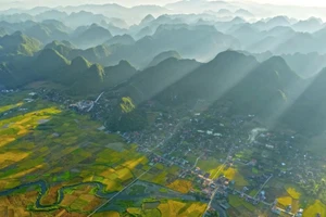 Tác phẩm: Mùa vàng, tác giả: Dương Doãn Tuấn, Giải A Giải thưởng Văn học nghệ thuật tỉnh Lạng Sơn lần thứ I, năm 2025.