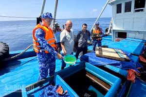 Lực lượng chức năng Bộ Tư lệnh Vùng Cảnh sát biển 4 kiểm tra hàng hóa trên tàu ĐT 93734 TS.